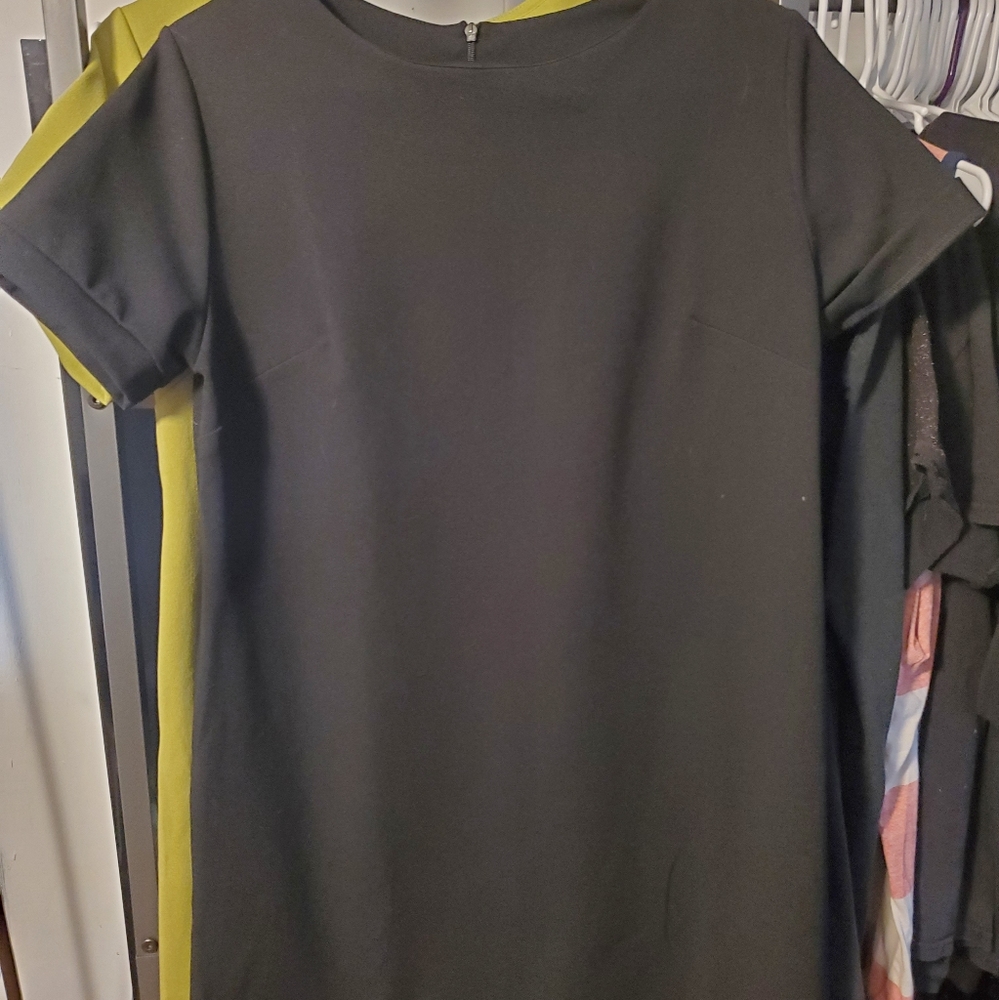 Southern Fried Chics